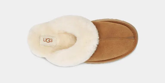 Ugg Disquette